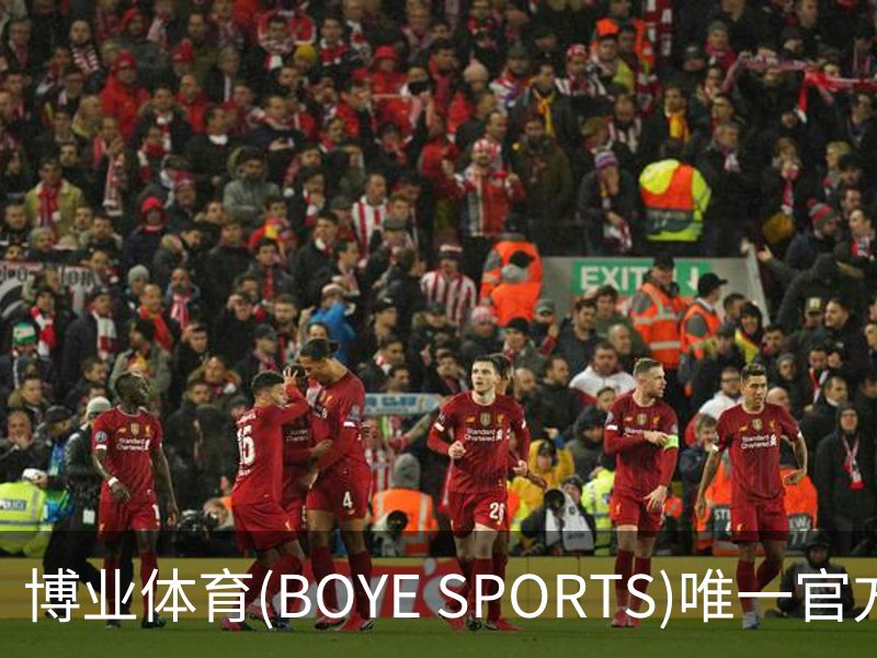 博业体育(BOYE SPORTS)唯一官方网站简介